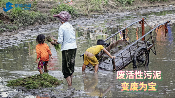 變廢為寶，微波消解助廢活性污泥銅檢測